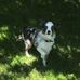 Bruce Beall - Facebook