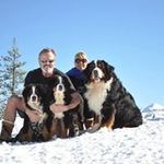 Bruce A Beals - @bealsbrucea - Instagram