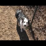 Bruce Beam - @centerfield_bb - Instagram