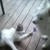 Bruce Beam - @bruce.beam - TikTok