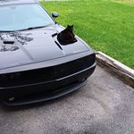 Bruce Beamer - @beamer.bruce - Instagram