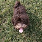 Bruce Bear - @brucebear2022 - Instagram