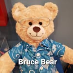 Bruce Bear - @adventuresofbrucebear - Instagram