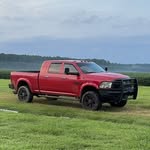 Bruce Beard - @bruce_beard - Instagram