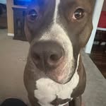 Bruce Beard Sr. - @beardsr.bruce - Instagram