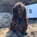 Bruce Beasley - @brucebeasley41 - Instagram