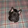 Bruce Beaton - @bruce_beaton - TikTok