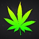 Bruce Beaudry - @raptorman420 - Instagram