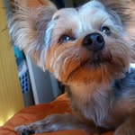 Bebe Bruce - @bebebruce28 - Instagram