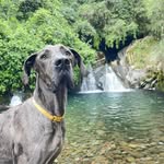 Bebé Bruce - @elmajestuosobebebruce - Instagram