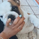 Bruce bebe 🐥 - @bruce_gm9 - Instagram