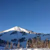 Bruce Bechtel - @bruce.bechtel - TikTok