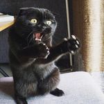 Bruce Beckwith - @beckwith6873 - Instagram