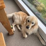 @brucebeckwith_ - Instagram