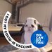 Bruce Bell - Facebook