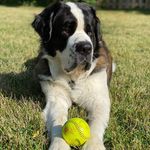 Bruce Bernard - @mr_bruce_bernard - Instagram