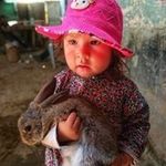 Bruce Bernstein - @bernstein3099 - Instagram