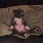 Bruce Bernstein - @itsmebruceb - Instagram