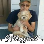 Bruce Billings - @brucebillings5 - Instagram
