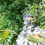 Bruce Billings - @bruce.billings - Instagram