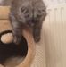 Bruce Bishop - Facebook