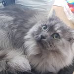 Bruce Bishop - @bruce_b1shop - Instagram