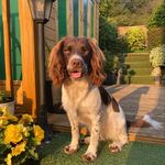 Bruce Bishop - @bruce_springer_bishop - Instagram