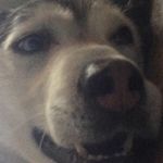 Bruce Bishop - @orb2008 - Instagram