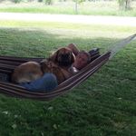 Bruce Bishop - @bruce.bishop - Instagram