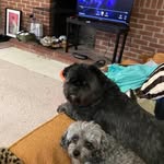 Bruce Blackmore - @blackmorebruce - Instagram
