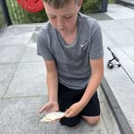 bruce blackmore - @bruceblackmore91 - Instagram