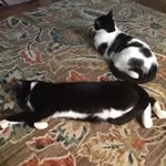 Bruce Block - @bruceablock2 - Instagram
