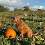 Bruce - @bruce.bloomfield - Instagram