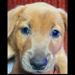 BRUCE BLUE - @brucebluee - Instagram