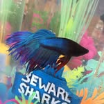 Bruce Blue Billingsby - @brucebluebillingsby - Instagram