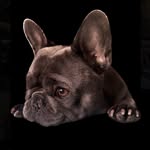 Bruce - @brucebluehero - Instagram