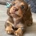 Bruce D Blue - Facebook