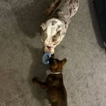 Bruce&blue - @bruce.and.blue - Instagram