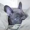 user3162454881371 - @brucebluehero - TikTok