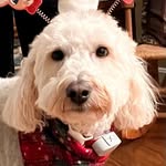 Bruce Blum - @bruce.blum5 - Instagram