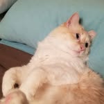 Bruce Blumhagen - @bruceblumhagen - Instagram