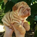 bruce - @bruce_blumer - Instagram