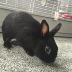 Bruce - @brucebohannon - Instagram