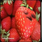 Bruce Bond - @gommahideyourfood - Instagram