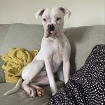 Bruce Boone - @bruce_boone_ - Instagram
