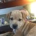 Bruce Borland - Facebook