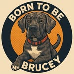 Bruce the Mastiff - @borntobebrucey - Instagram