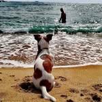 Daniele Malatesta - @bruce_borntorun - Instagram