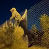 bruce_bottle - @bruce_bottle - TikTok