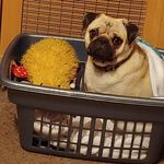 Bruce Bourne - @bourne4681 - Instagram